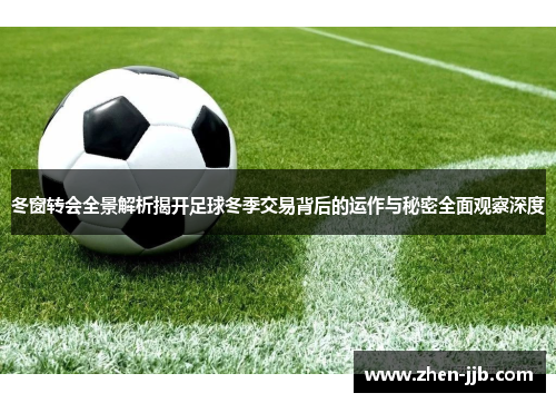 冬窗转会全景解析揭开足球冬季交易背后的运作与秘密全面观察深度