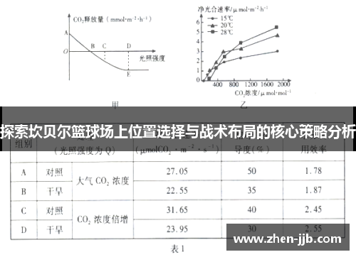 探索坎贝尔篮球场上位置选择与战术布局的核心策略分析