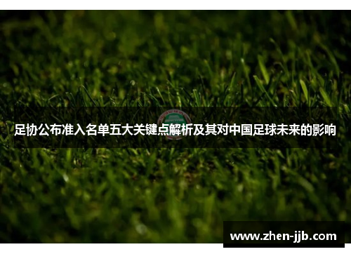 足协公布准入名单五大关键点解析及其对中国足球未来的影响