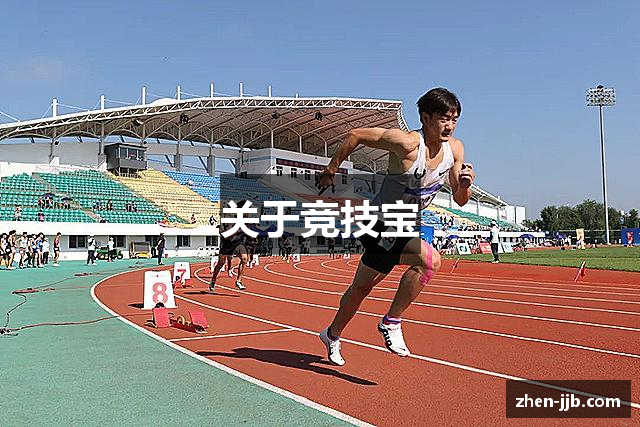 关于竞技宝